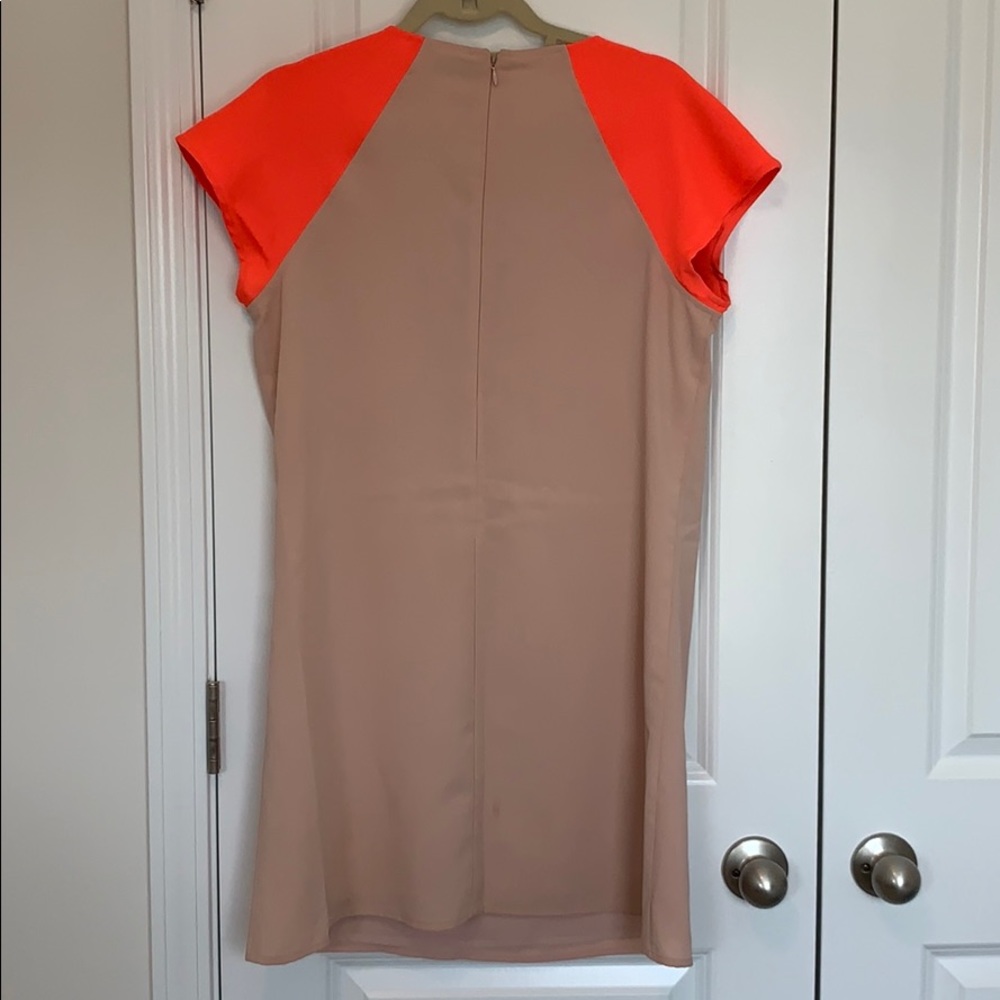 Shift dress - Picture 5 of 5